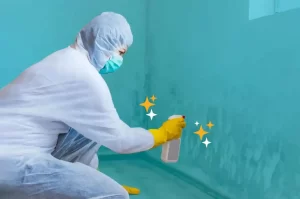 limpieza de moho en paredes