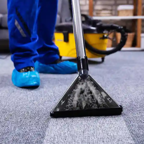 servicio de lavado de alfombras tapetes tapices tapizones a domicilio